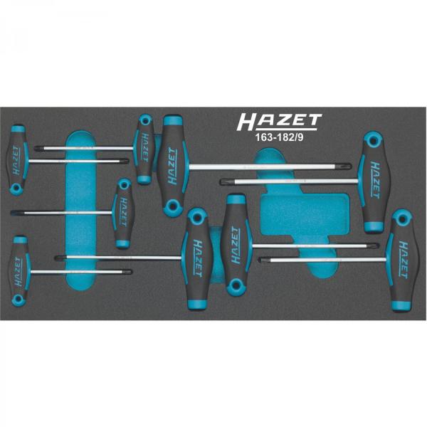 163-182/9 T-Handle TORX Screwdriver Set