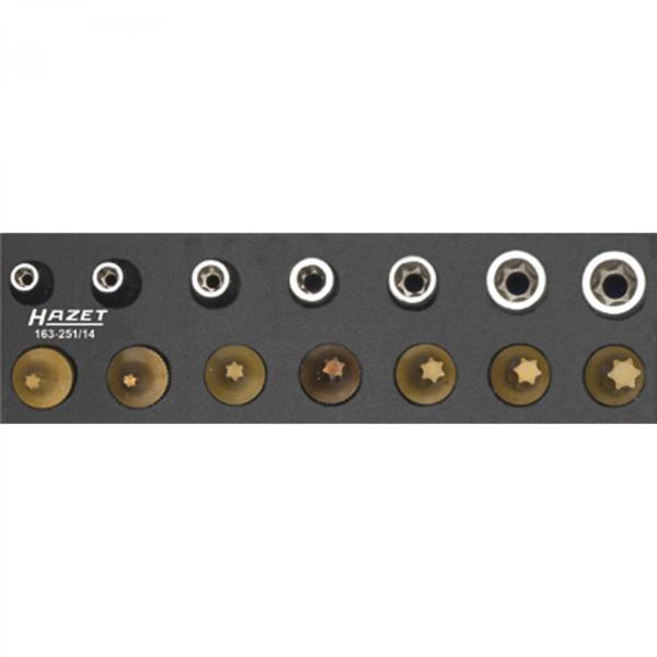 163-251/14 TORX® Tool Set
