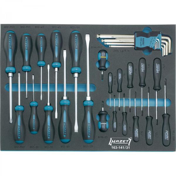 Hazet 163-141/31 Screwdriver Set