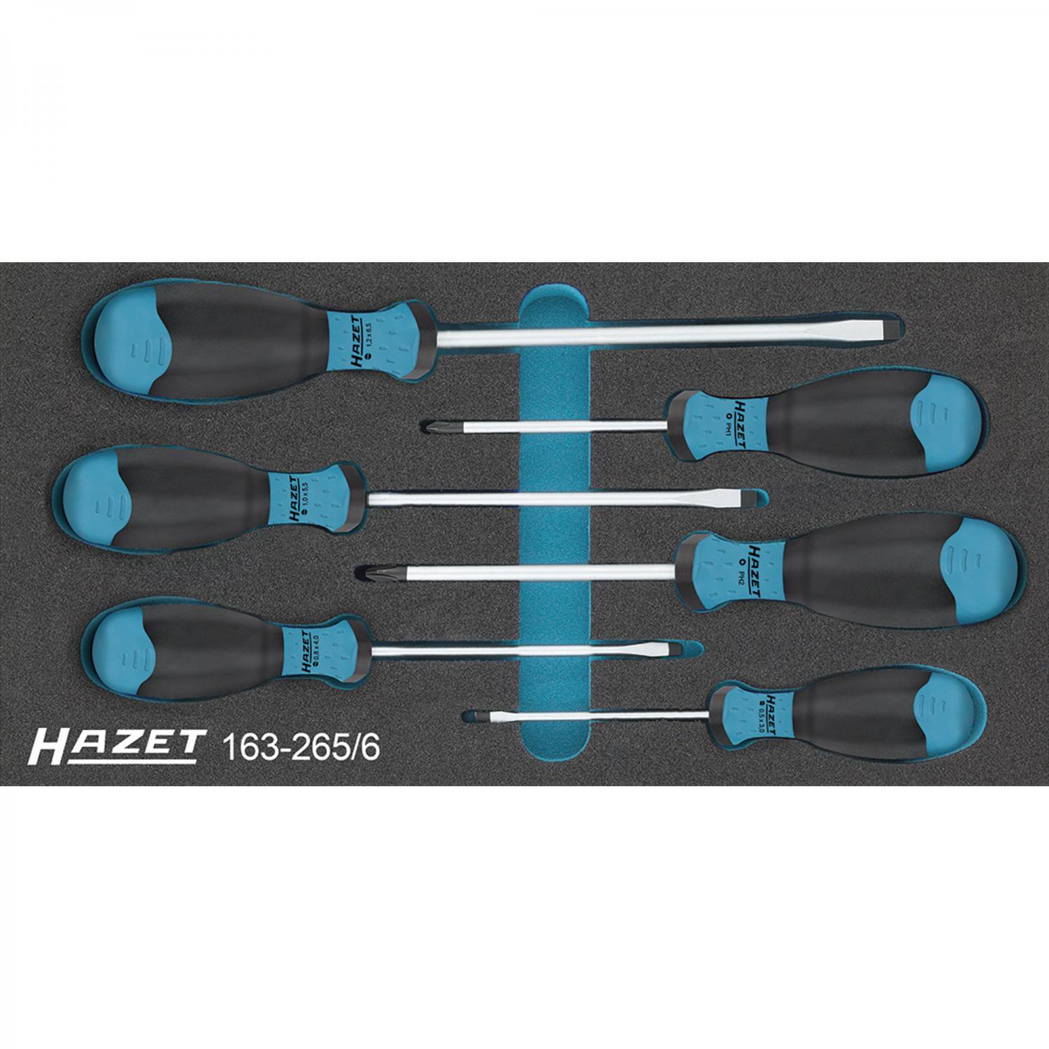 Hazet 163265/6 Screwdriver Set Tool modules General
